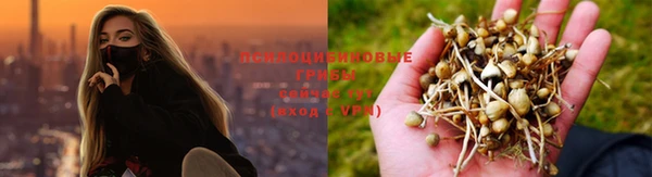 дживик Киреевск